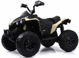 Rivertoys Электроквадроцикл BRP Can-Am Renegade / цвет хаки