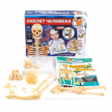 Играем вместе Игровой набор Скелет человека Маленький ученый 249595 / цвет бежевый