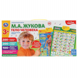 УМка Плакат двусторонний "Музыкальная азбука М.Жукова, Тело человека"