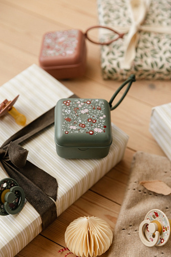 Контейнер для пустышки BIBS Liberty - Chamomile Lawn - Pine