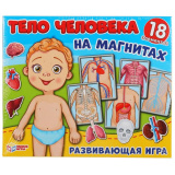 Умка Развивающая игра на магнитах Тело человека 299782 / разноцветная