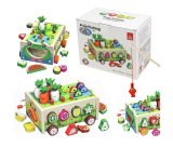 C68268 Головоломка