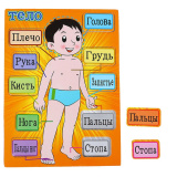 Лесная мастерская Рамка-вкладыш "Моё тело"