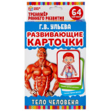 Умные игры Развивающие карточки  Г. В. Ульева. Тело человека 299788 / цвет белый, голубой