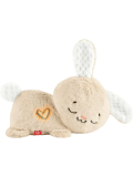 Развивающая игрушка Fisher-Price HXG97