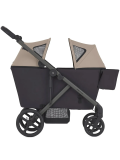 Детская коляска-вагончик Wagon ANEX Modu  (02 Haze)