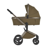 Детская коляска ANEX Flo 2in1  ((fl-04) Astra)