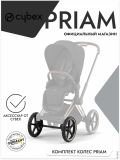 Комплект передних колес с осью RT Multicolour для Cybex PRIAM
