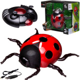 Junfa Toys Интерактивная игрушка Божья коровка / цвет красный, черный