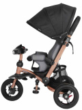 Moby kids Велосипед-коляска Stroller trike Air Car / цвет черный, рама золотой металлик