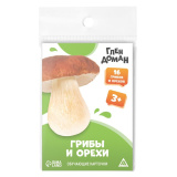Обучающие карточки по методике Глена Домана "Грибы и орехи", 8 карт, 3+ 9570008