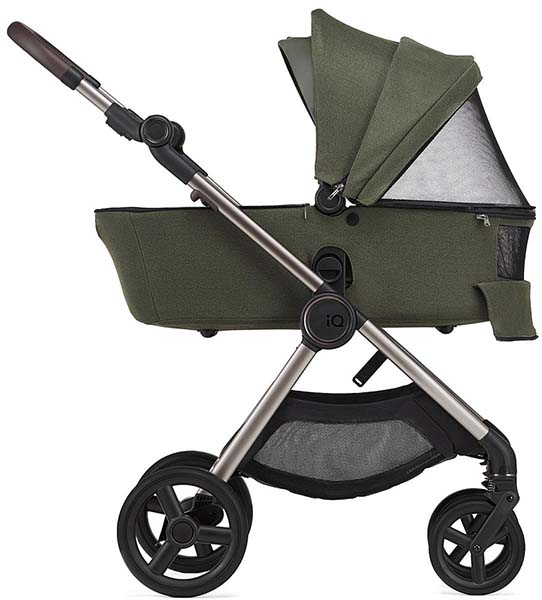 Anex Коляска 2 в 1 iQ Premium / цвет Richi (темно-зеленый)