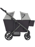 Детская коляска-вагончик Wagon ANEX Modu  (01 Shea)