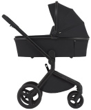 Детская коляска ANEX Flo 2in1  ((fl-05c) Lungo)