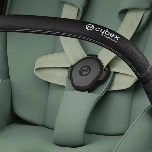 Cybex Коляска 2 в 1 Priam IV Rosegold / цвет Leaf Green (зеленый), рама розовое золото