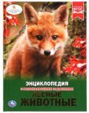 Умка Энциклопедия «Лесные животные»