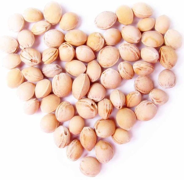 Доктор Мякиш Игрушка "Лягушка"