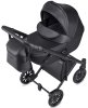 Anex Коляска 2 в 1 e/type / цвет Swan (черный)