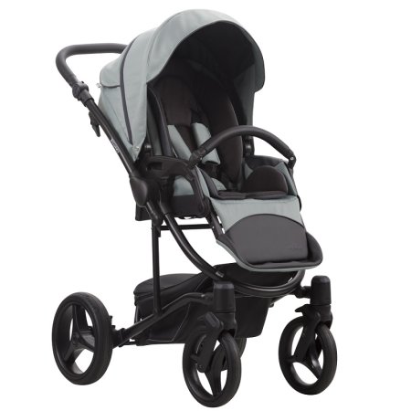 Bebetto Детская коляска 2 в 1 Torino TEX Цвет / 01 лиловый с рисунком (ткань) / рама черная