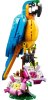 Lego Creator Конструктор "Экзотический попугай"