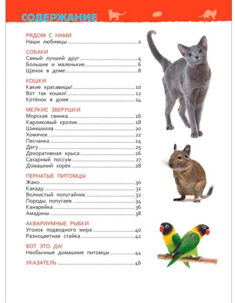 Фото товара Росмэн Книга "Домашние питомцы. Энциклопедия для детского сада" 