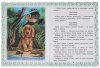 Умка Книга «В. В. Бианки. Лесные сказки»