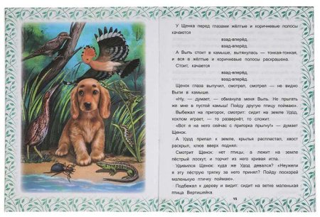 Умка Книга «В. В. Бианки. Лесные сказки»
