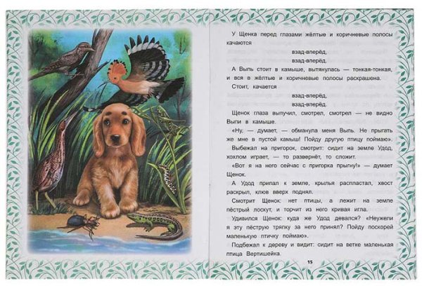 Умка Книга «В. В. Бианки. Лесные сказки»