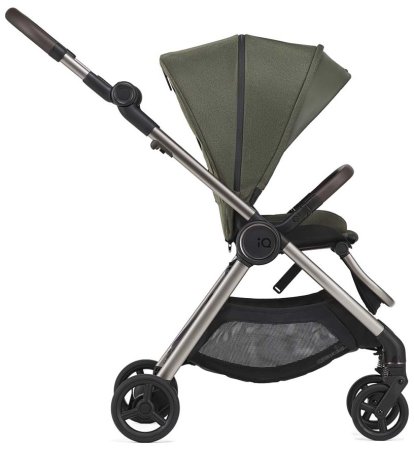 Anex Коляска 2 в 1 iQ Premium / цвет Richi (зеленый)