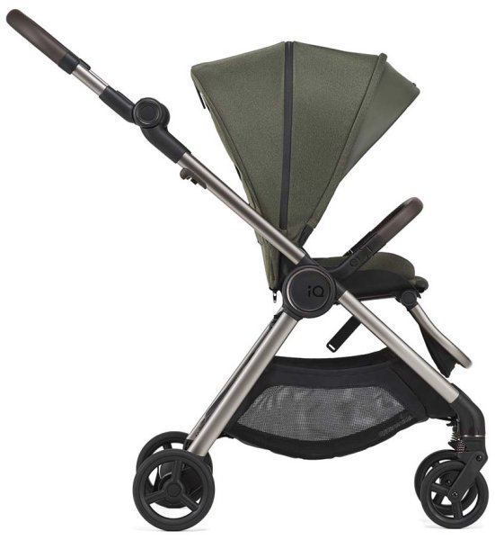 Anex Коляска 2 в 1 iQ Premium / цвет Richi (зеленый)