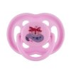 Roxy-Kids Соска-пустышка ортодонтическая SCANDI с футляром, 2 шт, 0-6 мес
