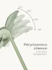 Стульчик для кормления Tomix Winky (Green/зеленый)