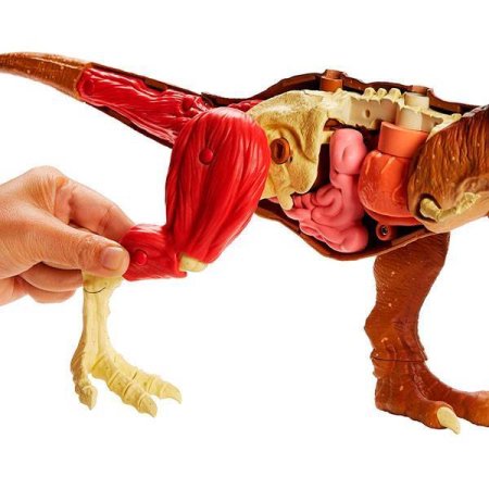 Jurassic World Игровой набор «Анатомия динозавра»