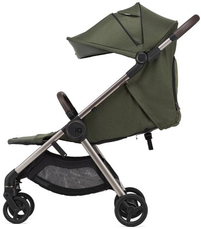 Anex Коляска 2 в 1 iQ Premium / цвет Richi (темно-зеленый)