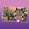 LEGO Friends Конструктор "Волшебная акробатика"
