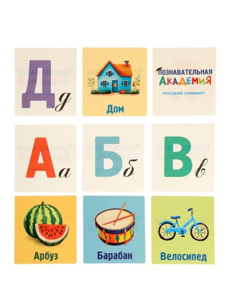 Развивающие карточки «Познавательная академия», 60 шт.