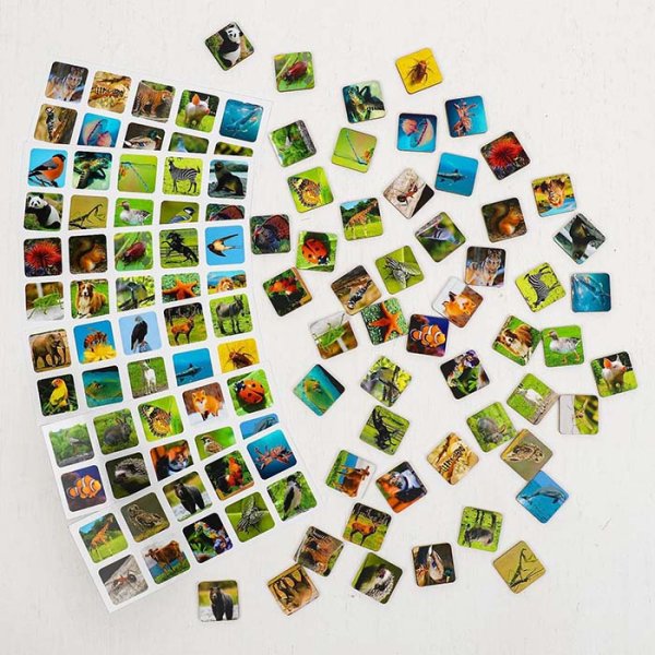 Smile Decor Сортер "Животный мир"