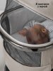 Коляска 2 в 1 Amarobaby Genius (бежевый)