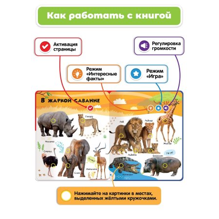 BertToys Говорящая книга "Нажималка"- Животные