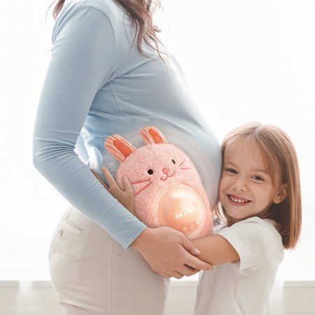 Hape Игрушка музыкальная "Кролик"