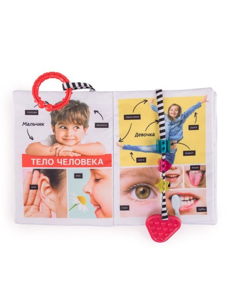 Happy Baby Книжка-игрушка Изучаем человека / разноцветный