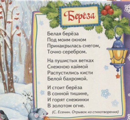 Книга стихов "Снегурочка"  – внешний вид и детали