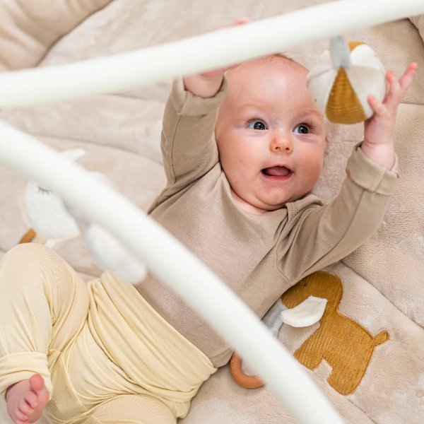 Nattou (Наттоу) Коврик детский игровой круглый CHARLIE Собачка 388238