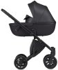 Anex Коляска 2 в 1 e/type / цвет Swan (черный)