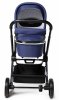 Labala Коляска Raiz 2 в 1 / цвет Blue (синий)