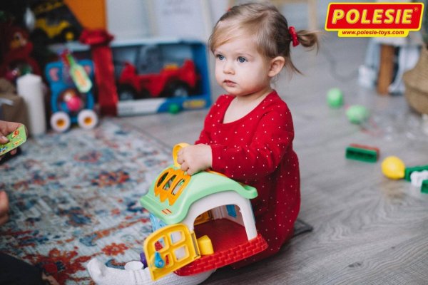 Игрушка-сортер Сказочный домик (в сетке)