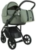 ROAN Коляска 2 в1 Bass Next короб+прогул.(2 места) (Sage Green/Black/руч.Black)