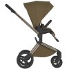 Anex Коляска 2 в 1 Flo / цвет Astra (коричневый)