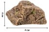 Паремо Фигурки из серии "Мир диких животных": Семья зебр, 5 предметов