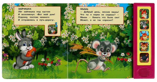 Умка Музыкальная книга «М. Дружинина. Кто где живёт?»